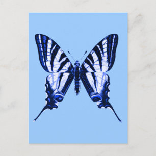 Postal Postcard Iphiclides podalirius