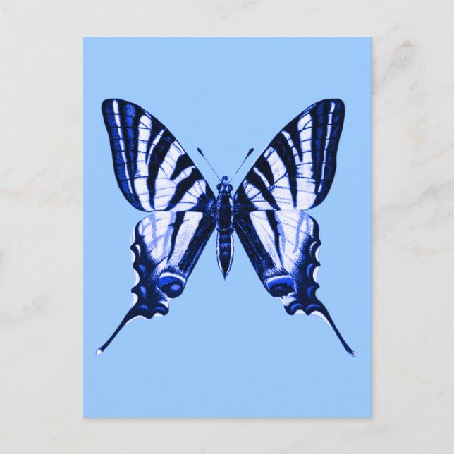 Postal Postcard Iphiclides podalirius (Anverso)