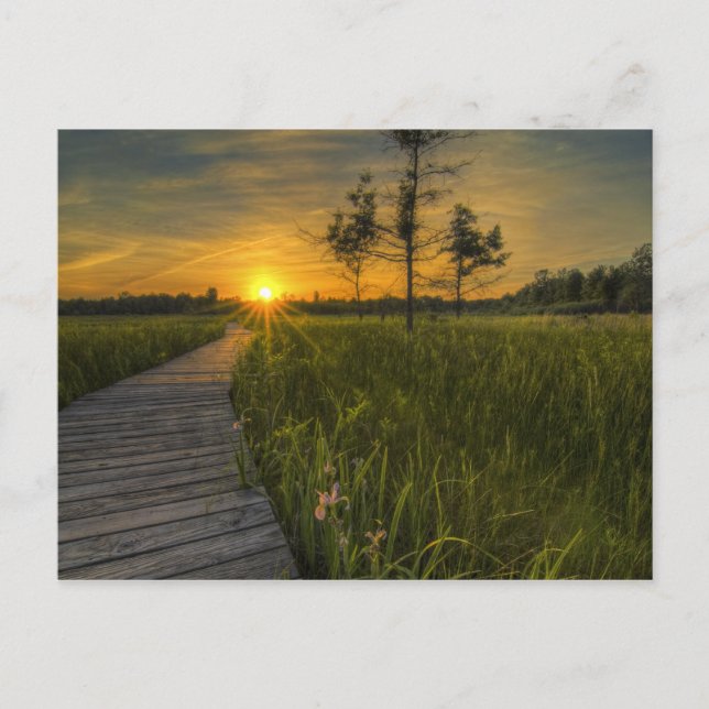 Postal Postcard Irwin Prairie Sunset (Anverso)