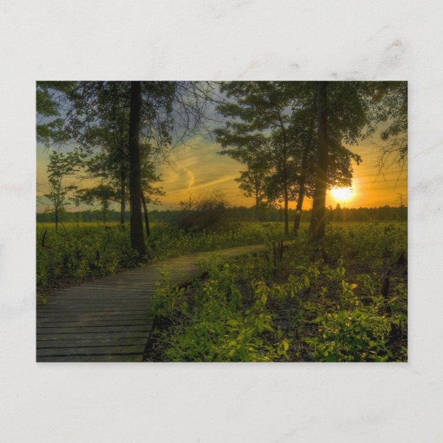 Postal Postcard Irwin Prairie Sunset (Anverso)