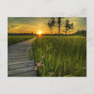 Postal Postcard Irwin Prairie Sunset