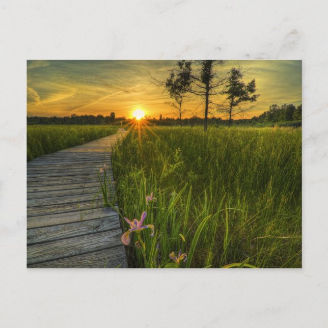 Postal Postcard Irwin Prairie Sunset (Anverso)