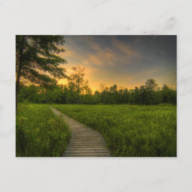 Postal Postcard Irwin Prairie Sunset (Anverso)