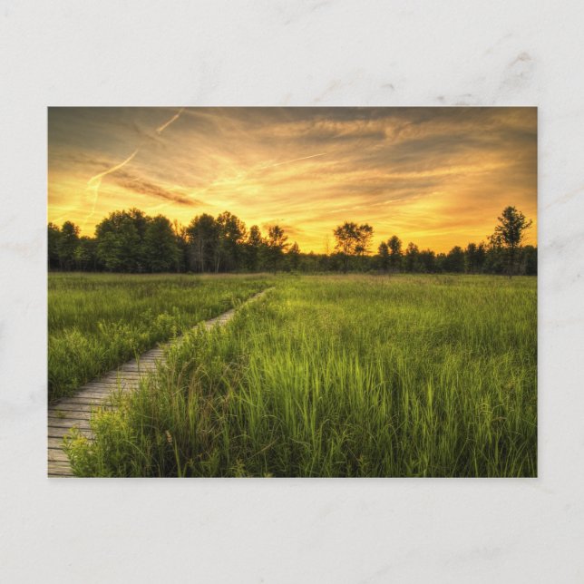 Postal Postcard Irwin Prairie Sunset (Anverso)