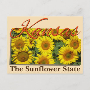Postal Postcard - KANSAS