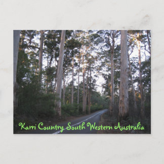 Postal POSTCARD - Karri Country South Western Australia