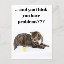 Postcard Katze schaut "Küken" un schwarzer Humor