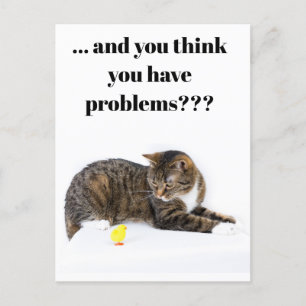Postal Postcard Katze schaut "Küken" un schwarzer Humor