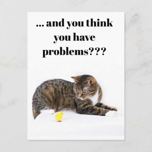 Postal Postcard Katze schaut "Küken" un schwarzer Humor (Anverso)