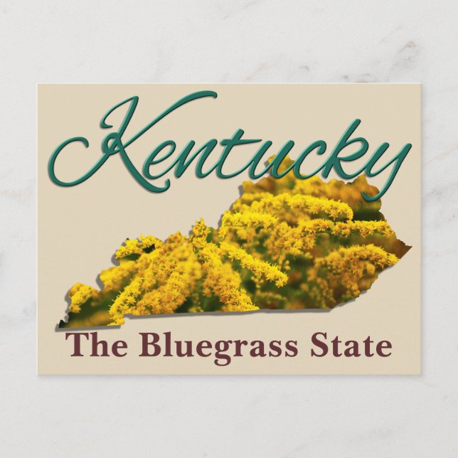 Postal Postcard - KENTUCKY (Anverso)