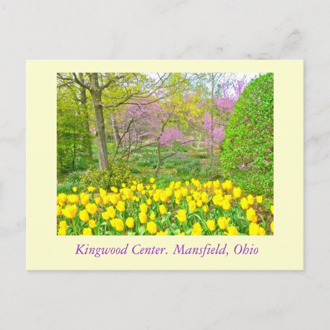 POSTAL POSTCARD, "KINGWOOD CENTRE GARDENS" (Anverso)