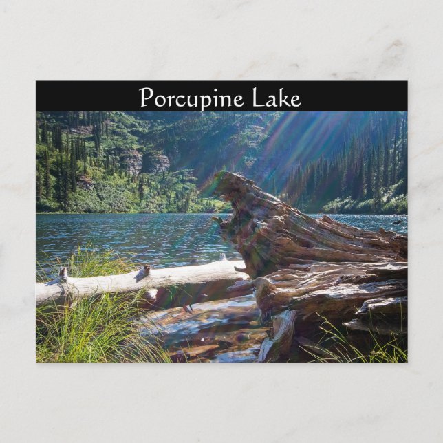 Postal POSTCARD ~ "Lago Porcupine" cerca de Clark Fork, I (Anverso)