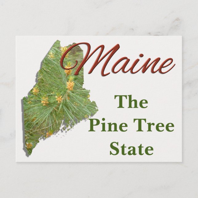 Postal Postcard - MAINE (Anverso)