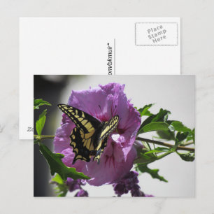 Postal Postcard - Mariposa de cola tragamonedas en flor