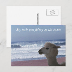 Postal Postcard - Mi pelo se pone friso ...