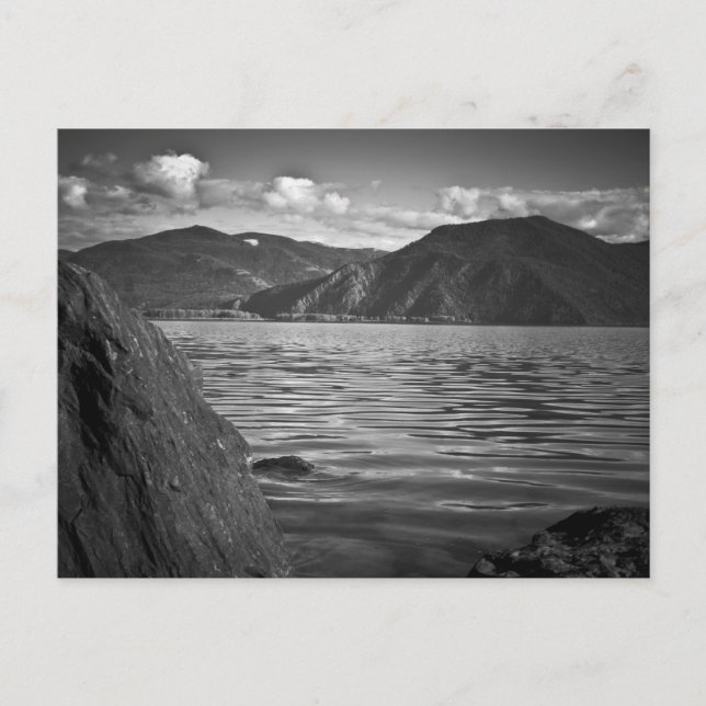 Postal POSTCARD ~ Monarcas verdes a lo largo del lago Pen (Anverso)