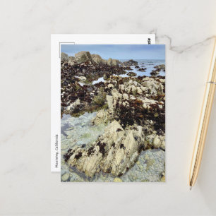 Postal Postcard - Monterrey, California