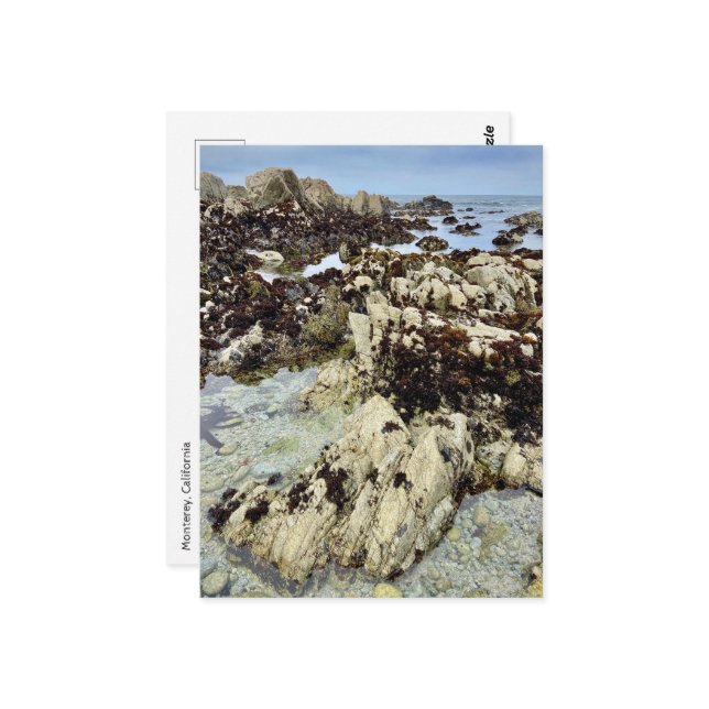 Postal Postcard - Monterrey, California (Anverso/Reverso In Situ)