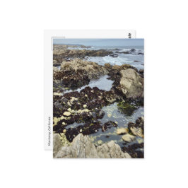 Postal Postcard - Monterrey, California