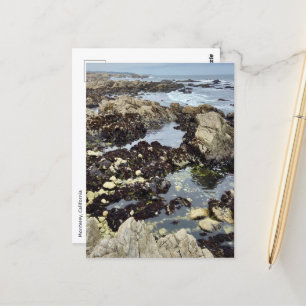 Postal Postcard - Monterrey, California