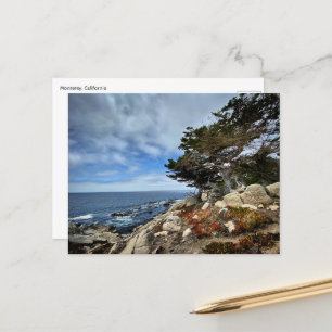 Postal Postcard - Monterrey, California