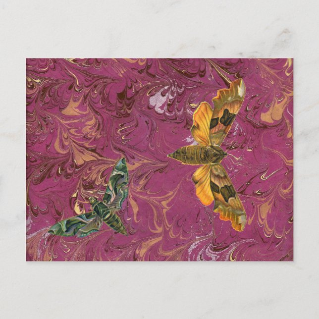 Postal Postcard morado de moscas (Anverso)