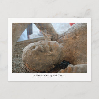 Postal Postcard, Museo de la UNESCO, Pompeya, Italia Dien