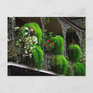 Postal Postcard New Orleans - Barrio Francés Estados Unid