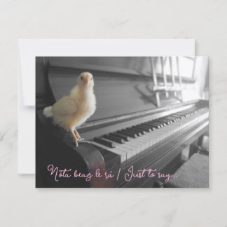 Postal Postcard Nóta beag le rá / Sólo decir