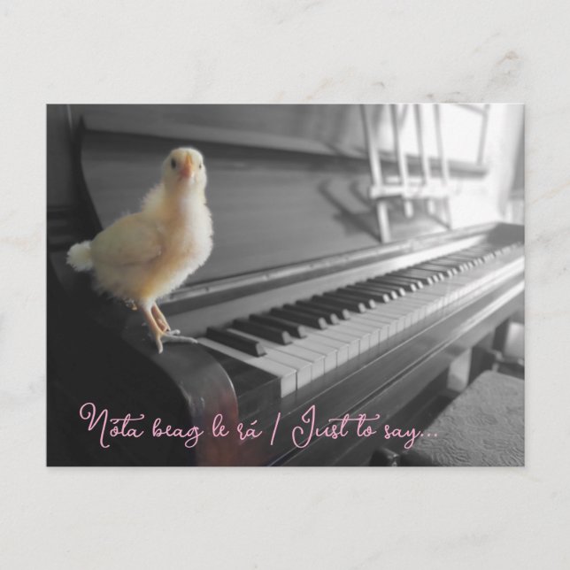 Postal Postcard Nóta beag le rá / Sólo decir (Anverso)