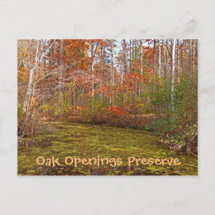 POSTAL POSTCARD, OAK OPENINING PRESERVATION, TOLEDO METRO