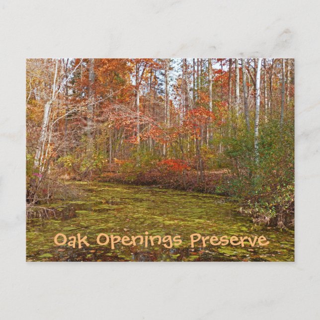POSTAL POSTCARD, OAK OPENINING PRESERVATION, TOLEDO METRO (Anverso)