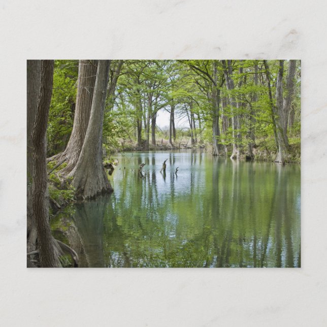 Postal Postcard - "Oasis" (Anverso)