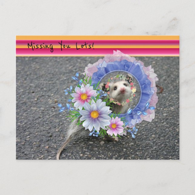 Postal Postcard Opossum Floral Stripe Perdido por ti! (Anverso)