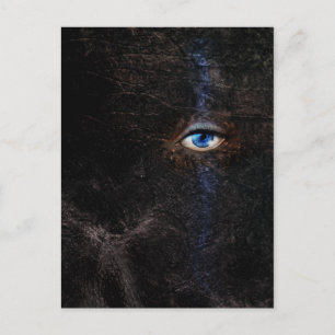 Postal Postcard oscuro