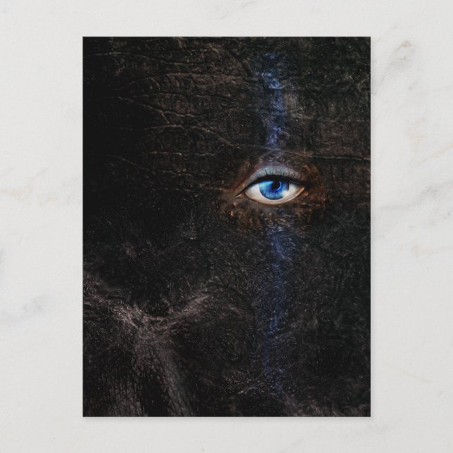 Postal Postcard oscuro (Anverso)