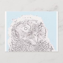 Postal Postcard - Owlet to Color
