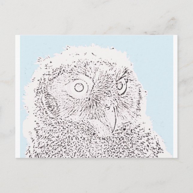Postal Postcard - Owlet to Color (Anverso)