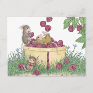 Postal Postcard para House-Mouse