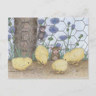 Postal Postcard para House-Mouse
