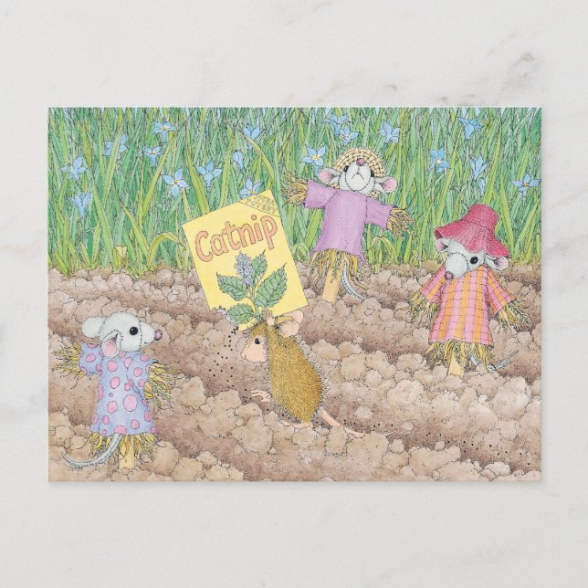 Postal Postcard para House-Mouse (Anverso)