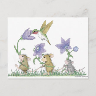 Postal Postcard para House-Mouse