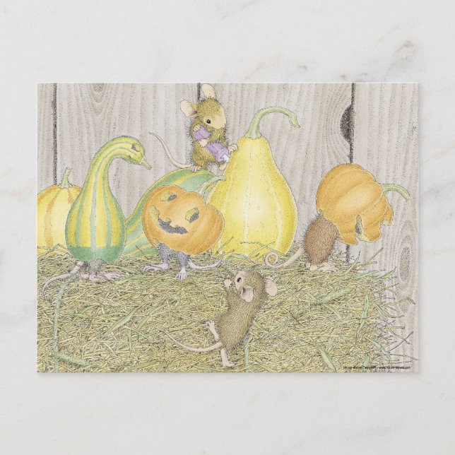 Postal Postcard para House-Mouse (Anverso)