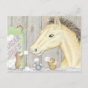 Postal Postcard para House-Mouse