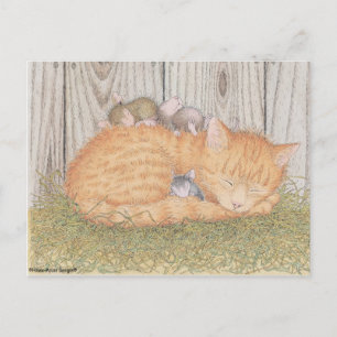 Postal Postcard para House-Mouse