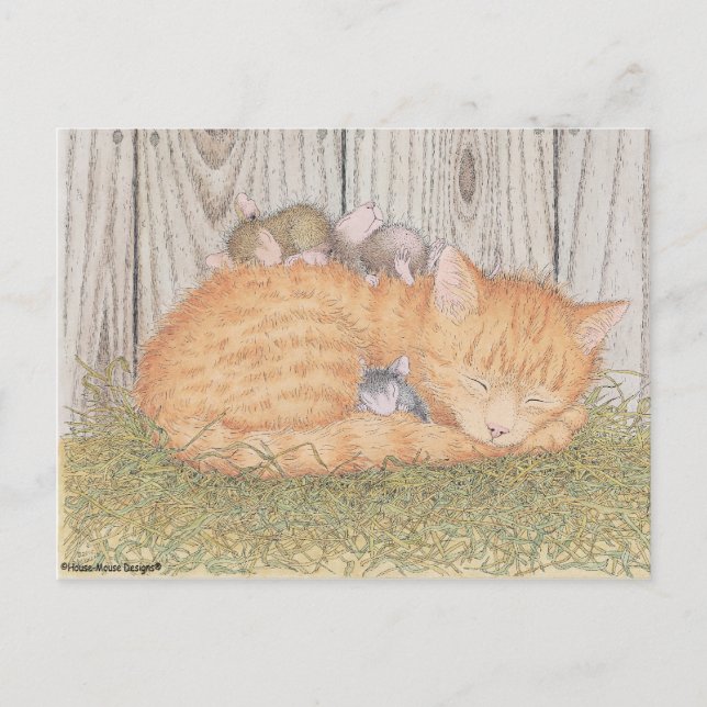 Postal Postcard para House-Mouse (Anverso)