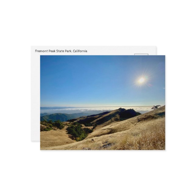 Postal Postcard - Parque Estatal Fremont Peak, California (Anverso/Reverso In Situ)