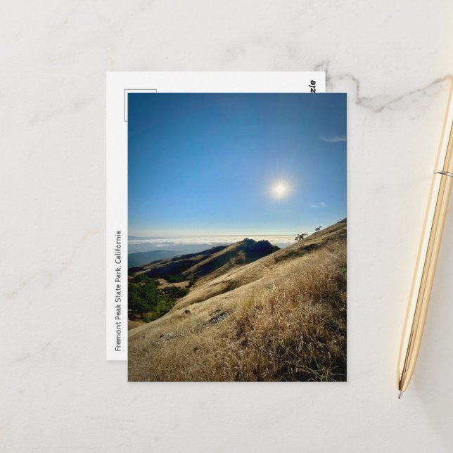 Postal Postcard - Parque Estatal Fremont Peak, California (Anverso/Reverso In Situ)