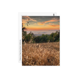 Postal Postcard - Parque Estatal Fremont Peak, California