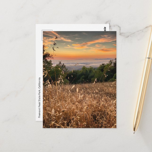 Postal Postcard - Parque Estatal Fremont Peak, California (Anverso/Reverso In Situ)